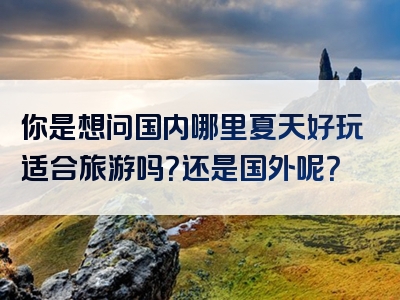 你是想问国内哪里夏天好玩适合旅游吗？还是国外呢？