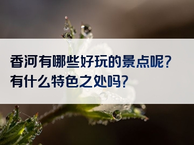 香河有哪些好玩的景点呢？有什么特色之处吗？