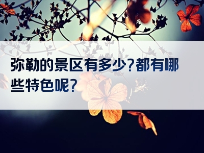 弥勒的景区有多少？都有哪些特色呢？