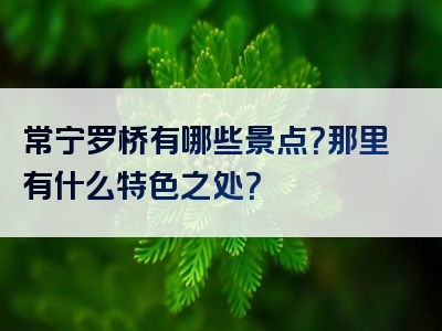 常宁罗桥有哪些景点？那里有什么特色之处？