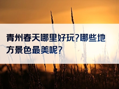 青州春天哪里好玩？哪些地方景色最美呢？