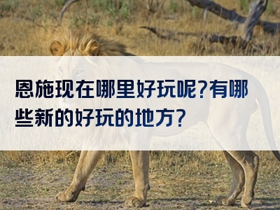 恩施现在哪里好玩呢？有哪些新的好玩的地方？