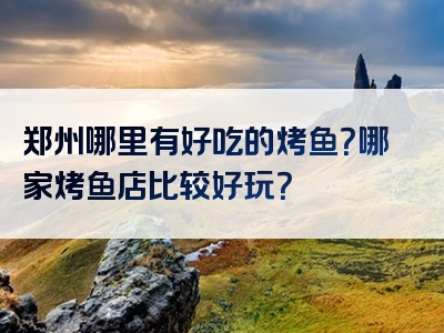 郑州哪里有好吃的烤鱼？哪家烤鱼店比较好玩？