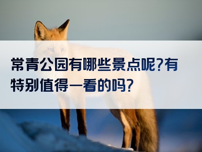 常青公园有哪些景点呢？有特别值得一看的吗？