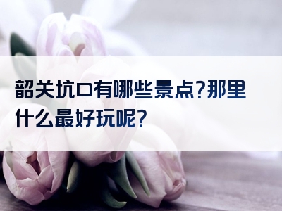 韶关坑口有哪些景点？那里什么最好玩呢？