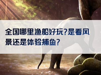 全国哪里渔船好玩？是看风景还是体验捕鱼？