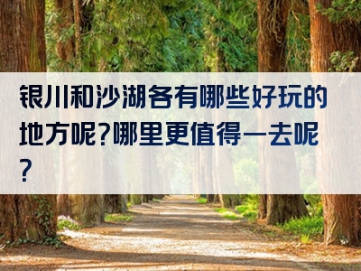银川和沙湖各有哪些好玩的地方呢？哪里更值得一去呢？