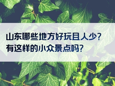 山东哪些地方好玩且人少？有这样的小众景点吗？