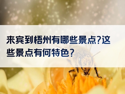 来宾到梧州有哪些景点？这些景点有何特色？