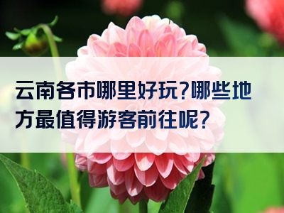 云南各市哪里好玩？哪些地方最值得游客前往呢？
