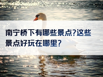 南宁桥下有哪些景点？这些景点好玩在哪里？