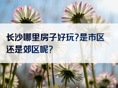 长沙哪里房子好玩？是市区还是郊区呢？