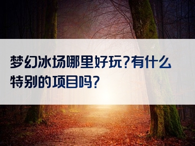 梦幻冰场哪里好玩？有什么特别的项目吗？
