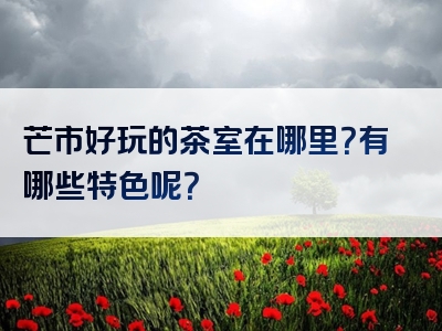 芒市好玩的茶室在哪里？有哪些特色呢？