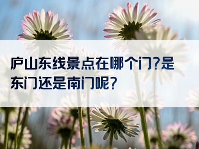 庐山东线景点在哪个门？是东门还是南门呢？