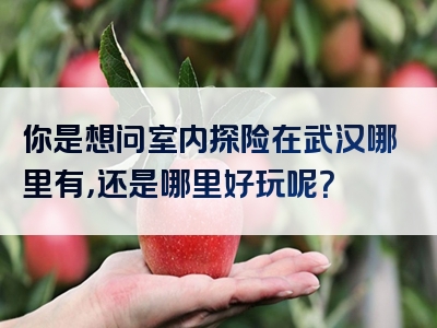 你是想问室内探险在武汉哪里有，还是哪里好玩呢？