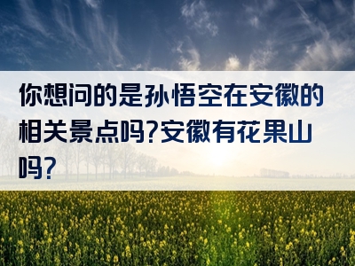 你想问的是孙悟空在安徽的相关景点吗？安徽有花果山吗？