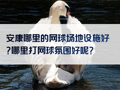 安康哪里的网球场地设施好？哪里打网球氛围好呢？