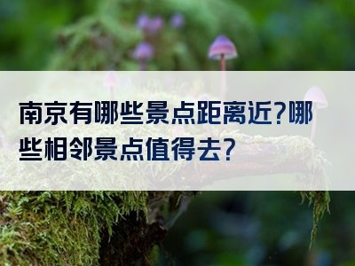 南京有哪些景点距离近？哪些相邻景点值得去？