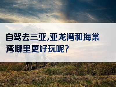 自驾去三亚，亚龙湾和海棠湾哪里更好玩呢？