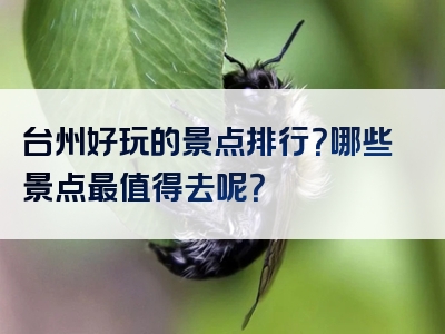 台州好玩的景点排行？哪些景点最值得去呢？