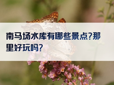 南马场水库有哪些景点？那里好玩吗？