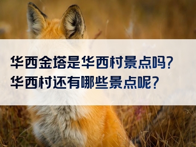 华西金塔是华西村景点吗？华西村还有哪些景点呢？
