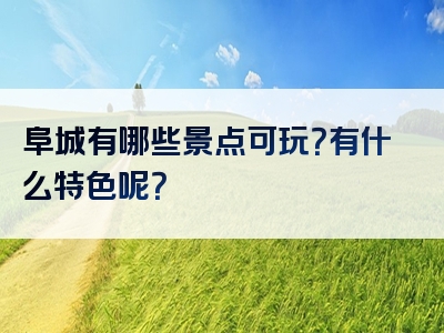 阜城有哪些景点可玩？有什么特色呢？