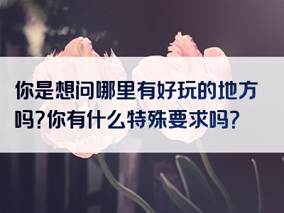 你是想问哪里有好玩的地方吗？你有什么特殊要求吗？