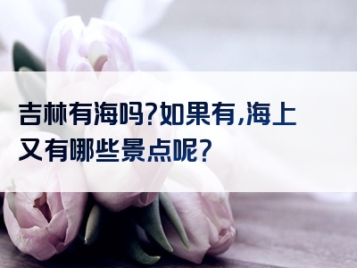 吉林有海吗？如果有，海上又有哪些景点呢？