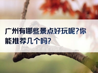 广州有哪些景点好玩呢？你能推荐几个吗？