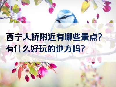 西宁大桥附近有哪些景点？有什么好玩的地方吗？