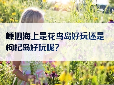 嵊泗海上是花鸟岛好玩还是枸杞岛好玩呢？