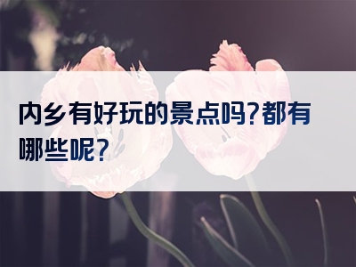 内乡有好玩的景点吗？都有哪些呢？