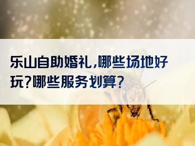 乐山自助婚礼，哪些场地好玩？哪些服务划算？