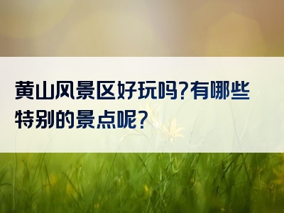 黄山风景区好玩吗？有哪些特别的景点呢？