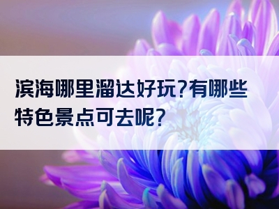 滨海哪里溜达好玩？有哪些特色景点可去呢？