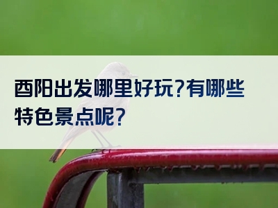 酉阳出发哪里好玩？有哪些特色景点呢？