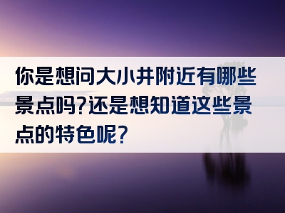 你是想问大小井附近有哪些景点吗？还是想知道这些景点的特色呢？