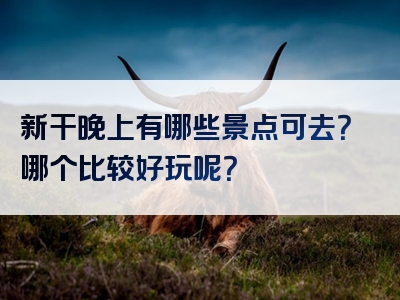 新干晚上有哪些景点可去？哪个比较好玩呢？
