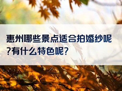 惠州哪些景点适合拍婚纱呢？有什么特色呢？