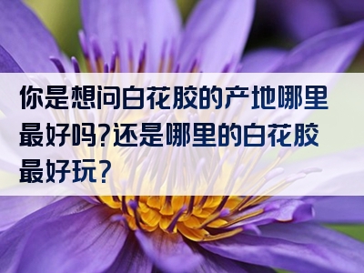 你是想问白花胶的产地哪里最好吗？还是哪里的白花胶最好玩？