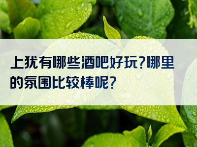 上犹有哪些酒吧好玩？哪里的氛围比较棒呢？