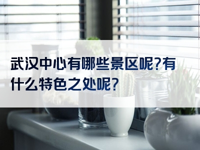 武汉中心有哪些景区呢？有什么特色之处呢？