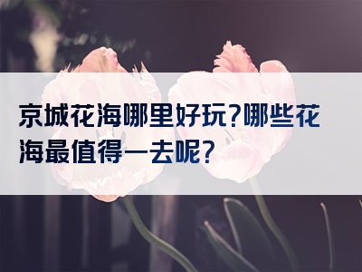 京城花海哪里好玩？哪些花海最值得一去呢？