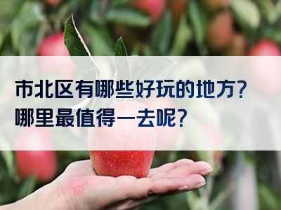 市北区有哪些好玩的地方？哪里最值得一去呢？