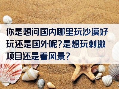 你是想问国内哪里玩沙漠好玩还是国外呢？是想玩刺激项目还是看风景？