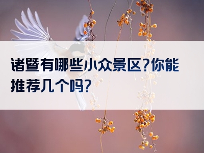 诸暨有哪些小众景区？你能推荐几个吗？