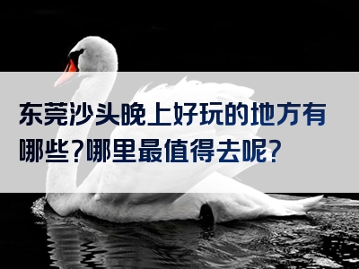 东莞沙头晚上好玩的地方有哪些？哪里最值得去呢？
