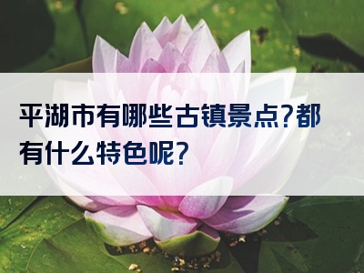 平湖市有哪些古镇景点？都有什么特色呢？